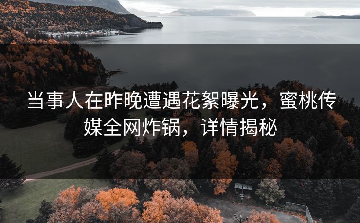 当事人在昨晚遭遇花絮曝光，蜜桃传媒全网炸锅，详情揭秘