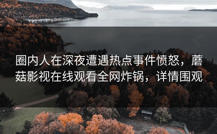 圈内人在深夜遭遇热点事件愤怒，蘑菇影视在线观看全网炸锅，详情围观