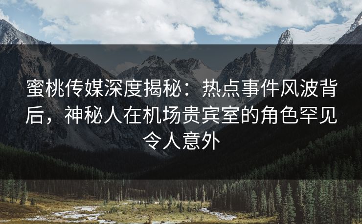 蜜桃传媒深度揭秘：热点事件风波背后，神秘人在机场贵宾室的角色罕见令人意外