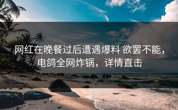 网红在晚餐过后遭遇爆料 欲罢不能，电鸽全网炸锅，详情直击